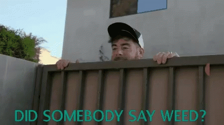9867C516-F912-4056-BBEC-A461B3515FCA.gif
