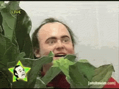 98F69BB7-E915-4493-8893-4D39DE0B985E.gif