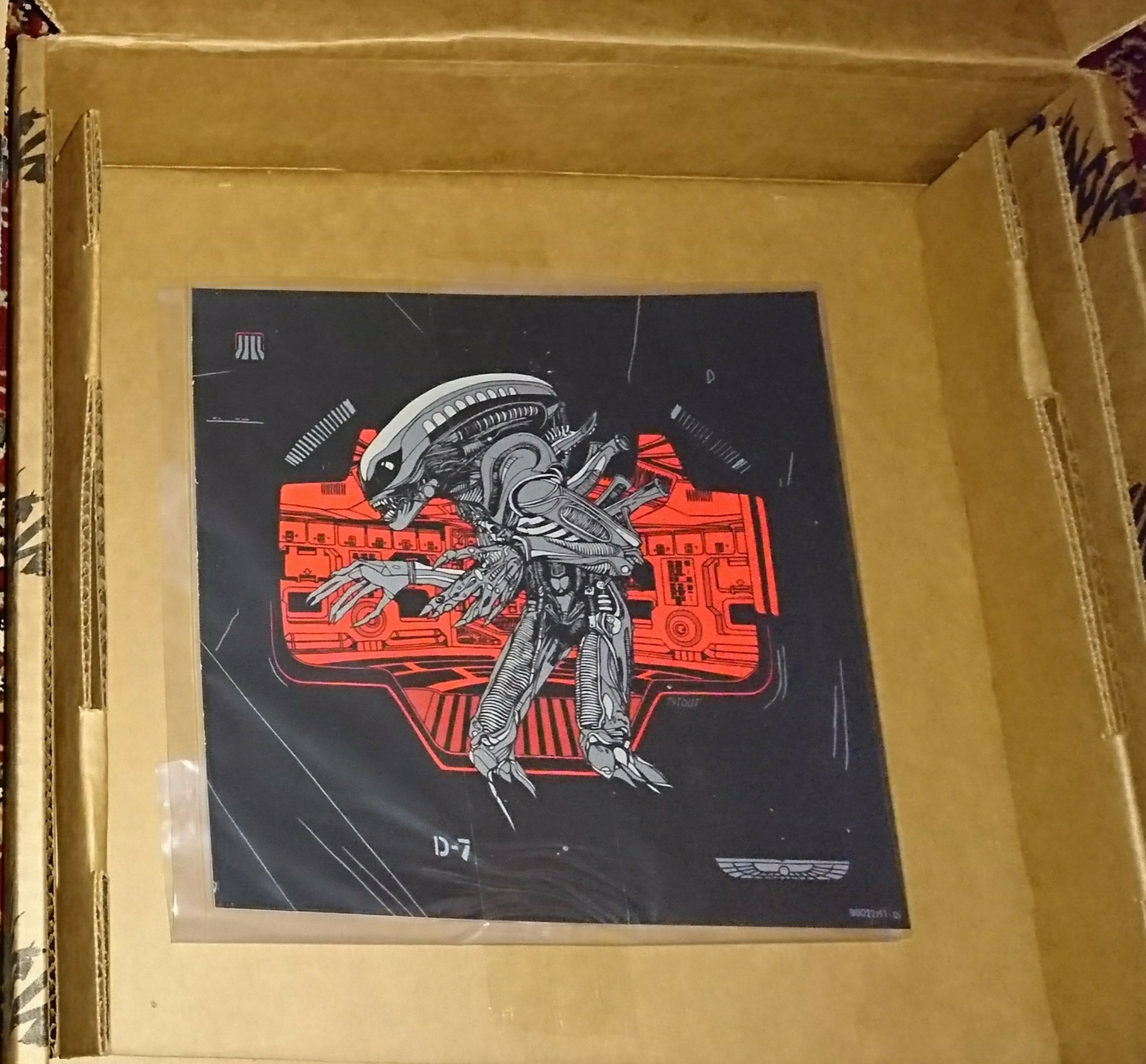 _20171210_130356.JPG