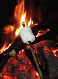 A3374709-7D0C-4832-A308-90912DF09225.gif