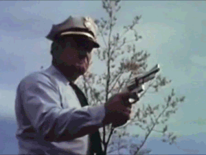 A71E5F44-646F-4F2F-9517-0DEFD4358305.gif