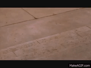 Ace_Ventura_Smashes_Package2.gif