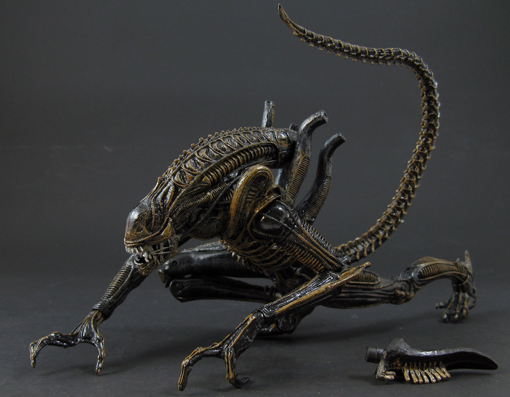 alienw9.JPG