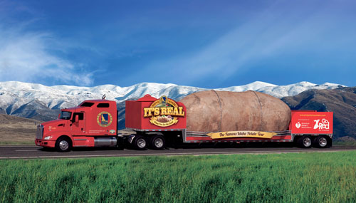 all-giant-potato-at-bay-fest-2014-05-16-bk02_z.jpg