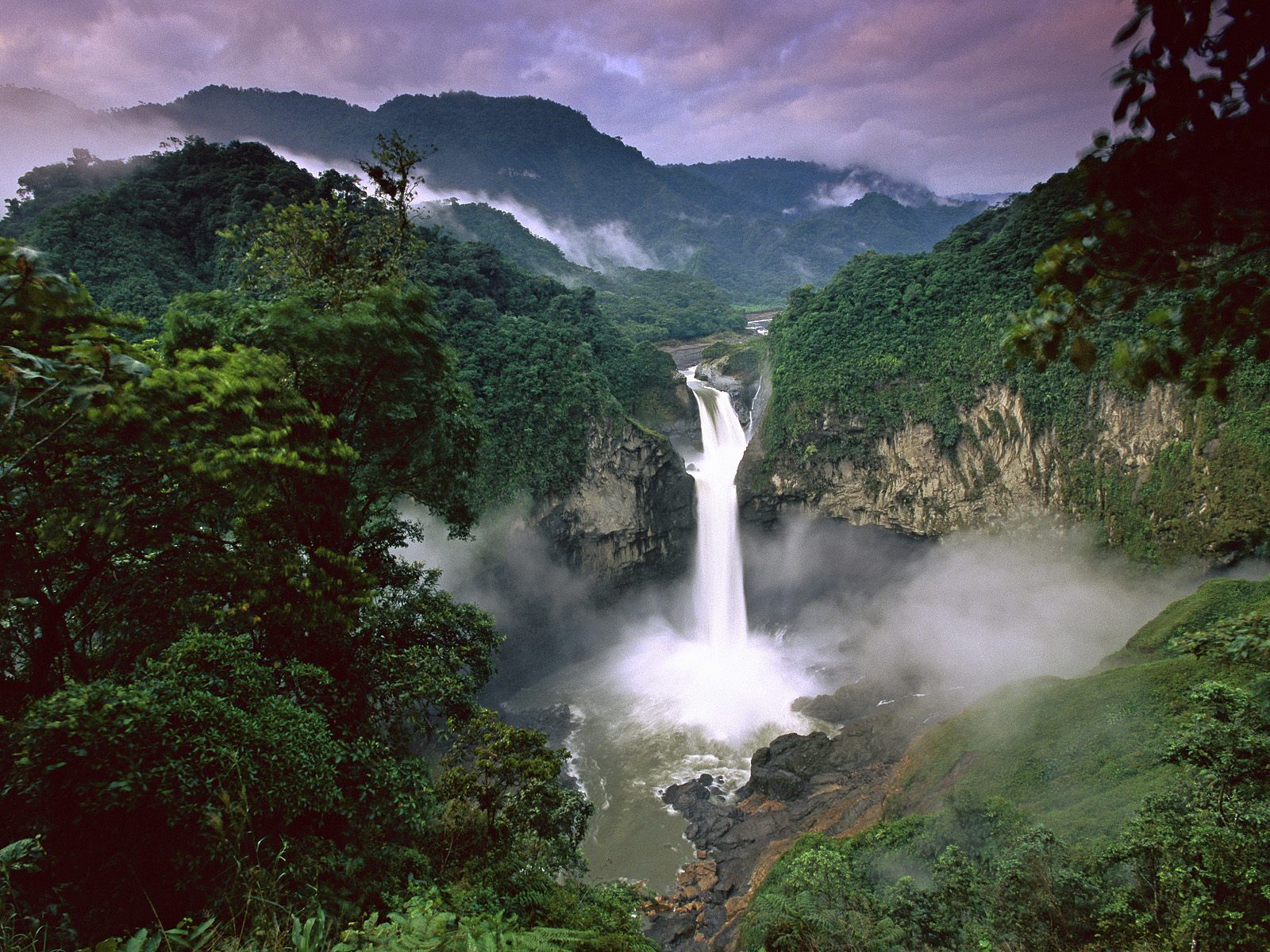 Amazon Rainforest.jpeg