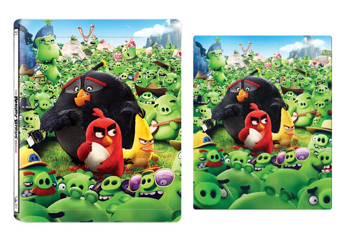 AngryBirds-LentiMagnet.jpg