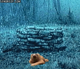 animal-senorgifcom.gif