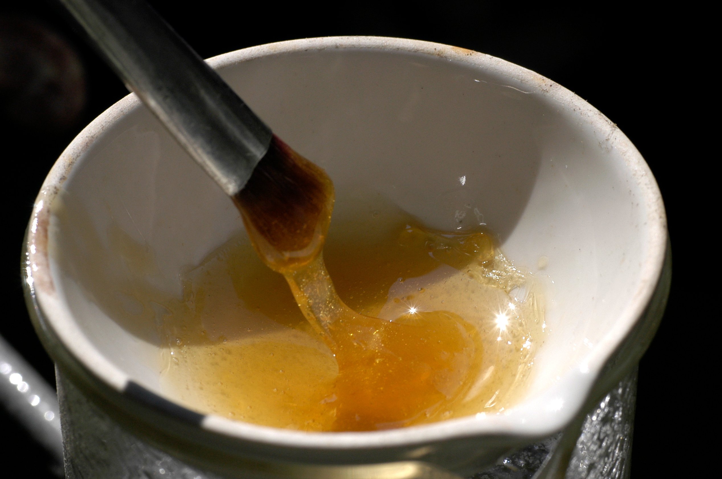 Animal_glue_liquid.jpg