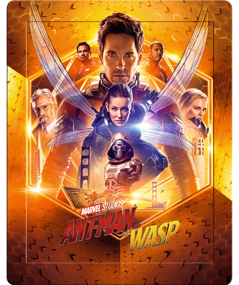 Ant Man and the Wasp Lenti with border.jpg