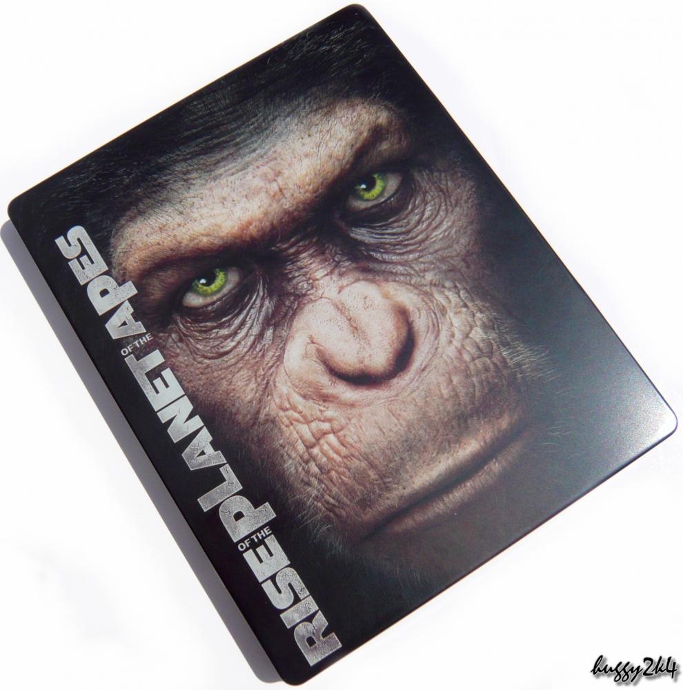 apes1.jpg