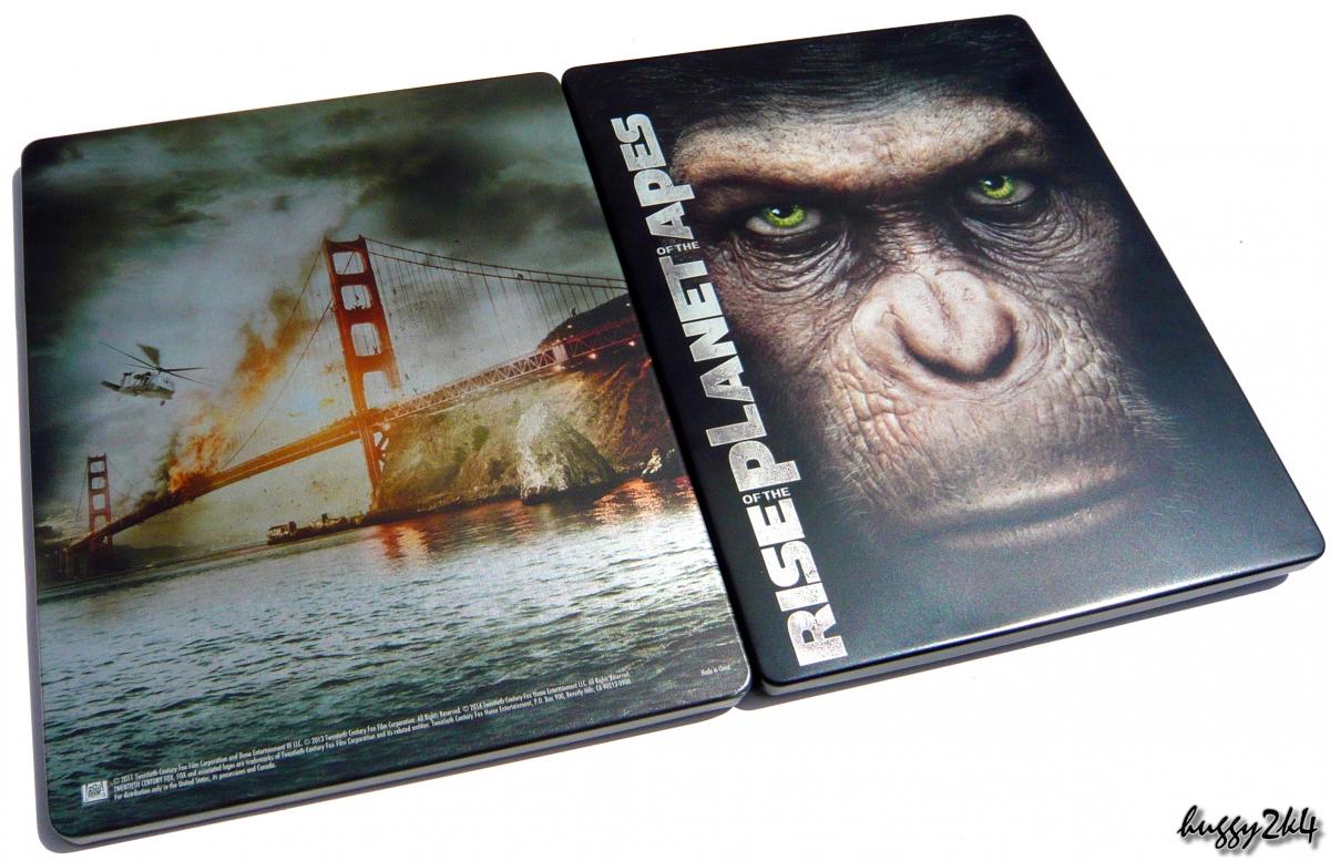 apes4.jpg