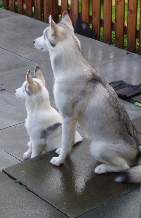 Av & Indy.jpg