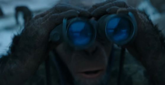 bad ape binoculars.JPG