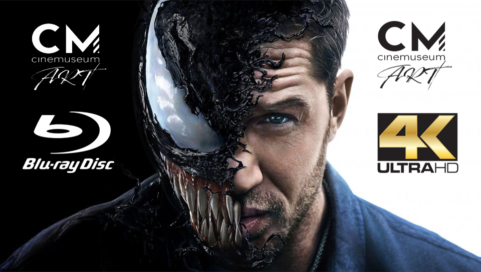 BANNER2.jpg