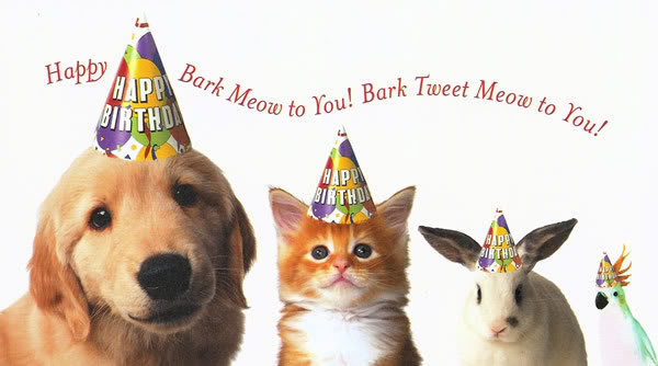 Bark Meow Birthday!.jpg