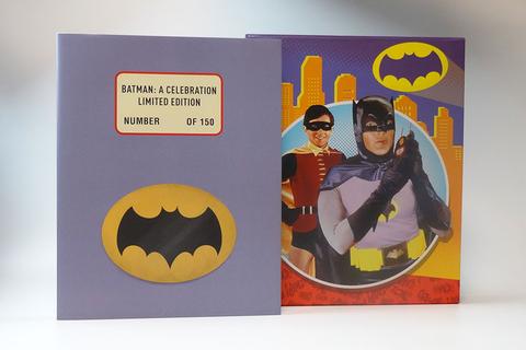 bat1_large.jpg