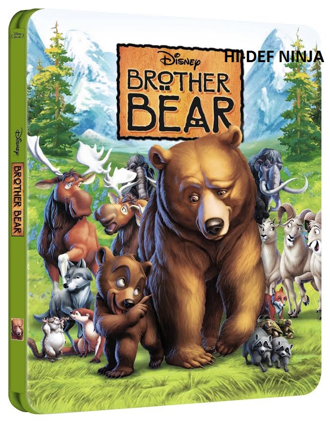 bear.jpg