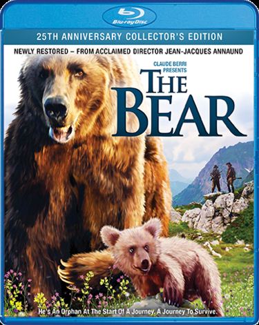 bear .jpg