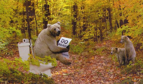 bears.jpg