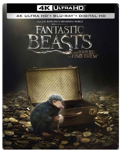 best buy 4k exclusive.JPG