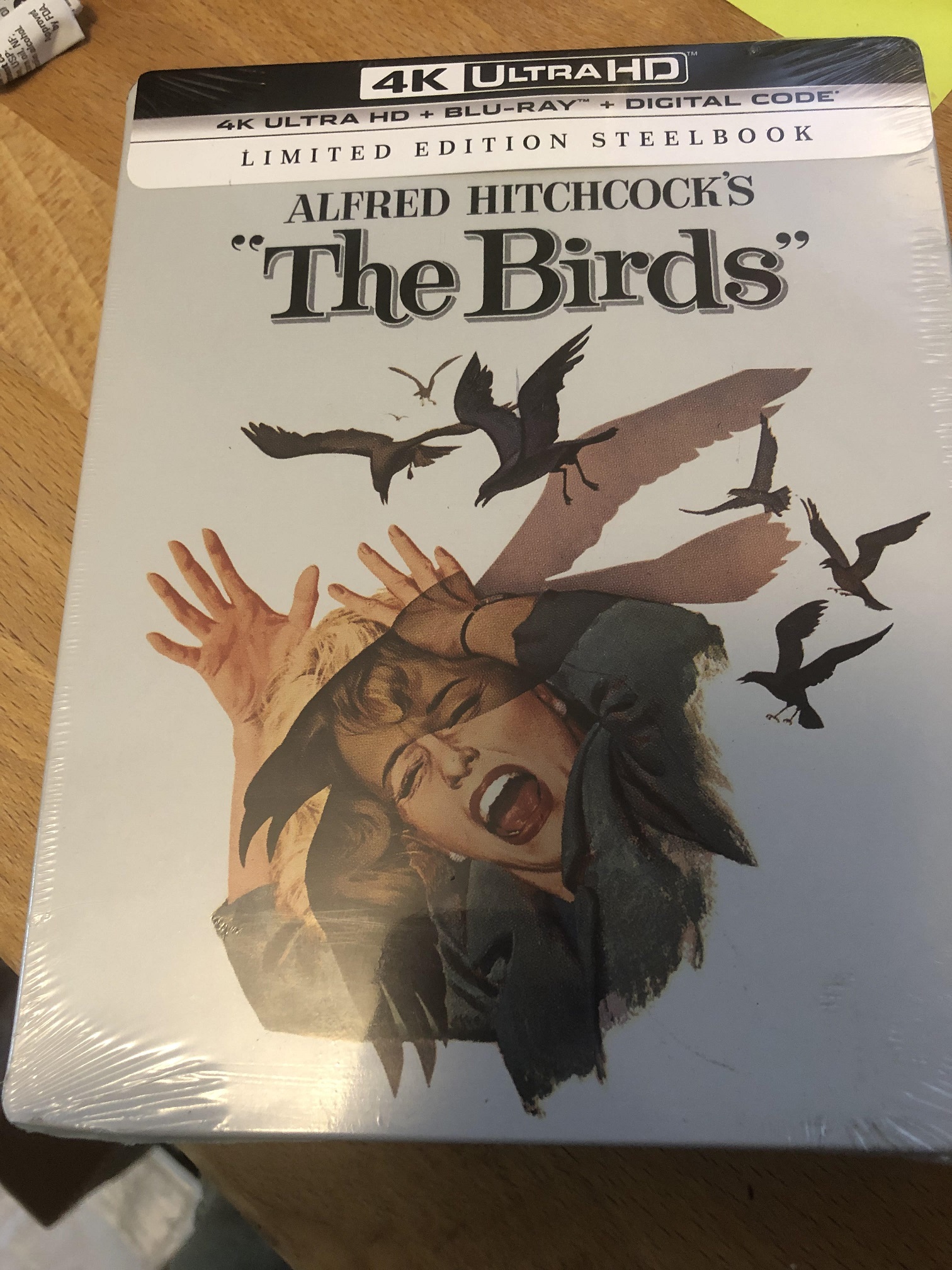birds1.jpg
