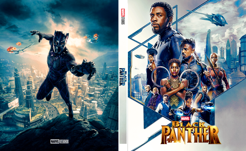 black panther .png