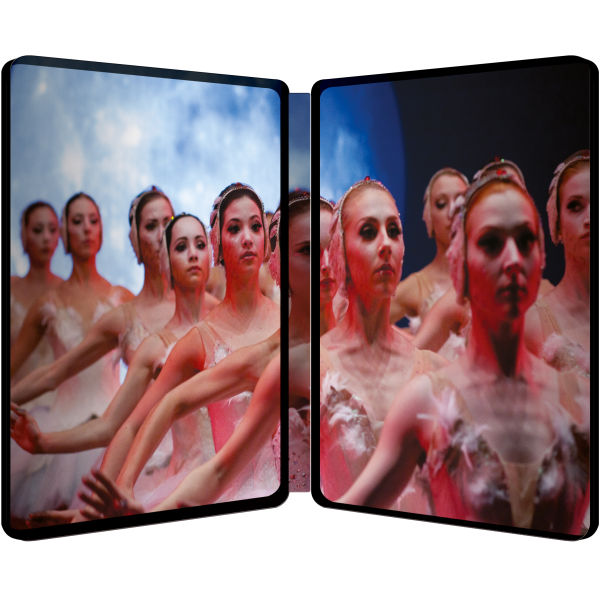 black-swan-inside.jpg