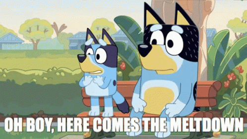 bluey-bandit.gif