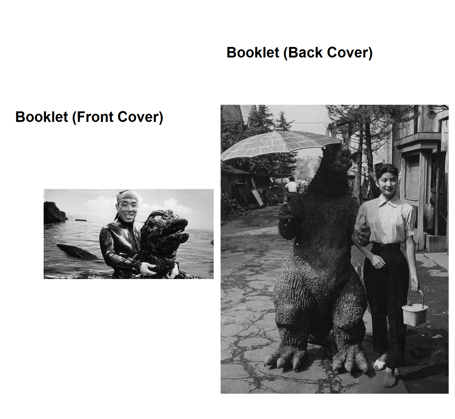 Booklet.png