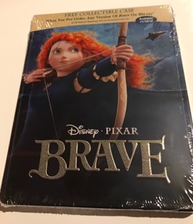 Brave empty Viva Case.jpg