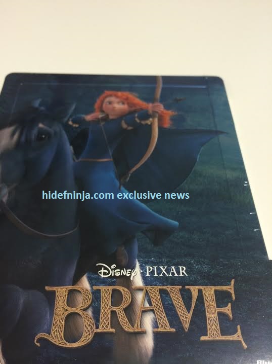 brave1-1.jpg