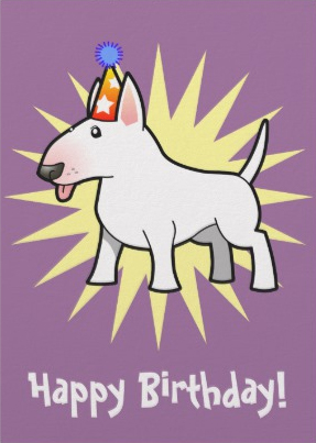 bullterrier.jpg