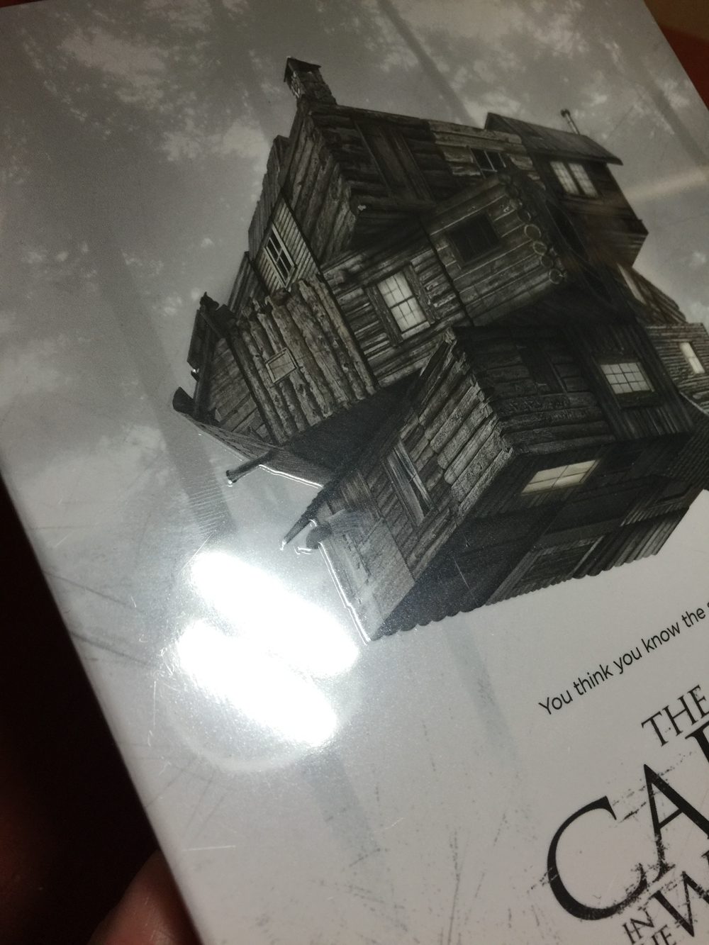 cabin_03.jpg