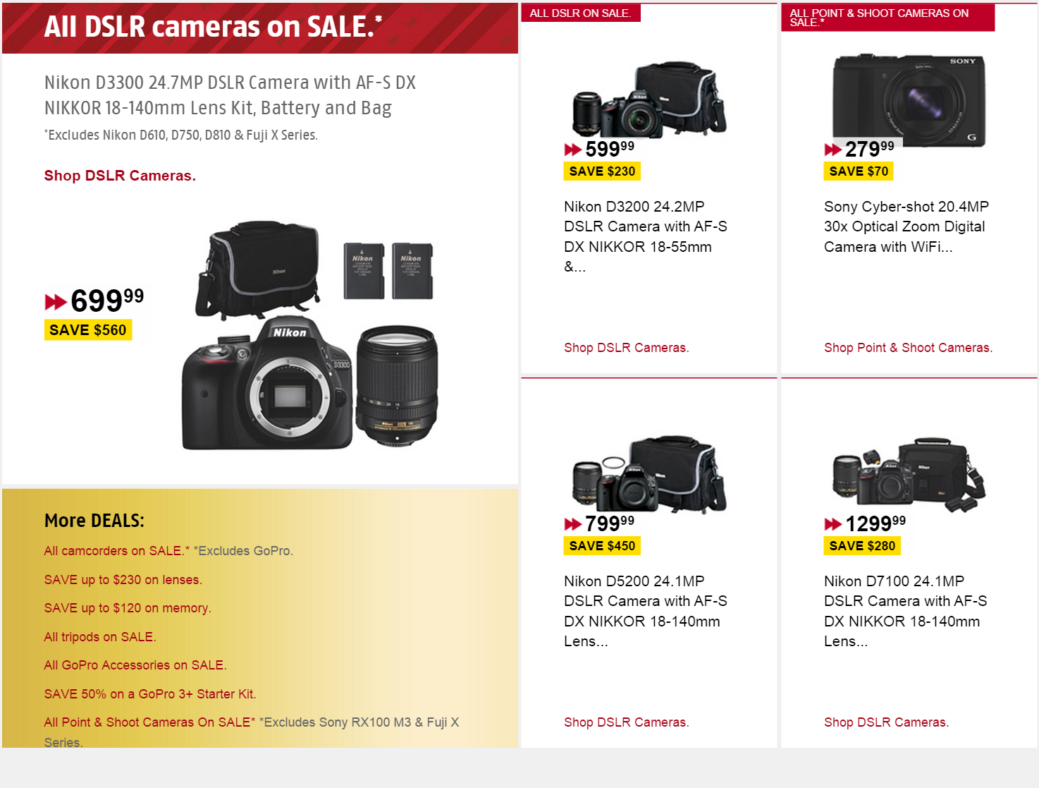 Cameras FS.PNG