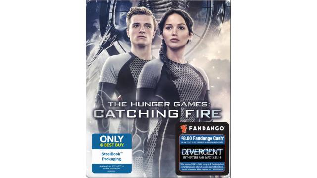 CatchingFire.jpeg