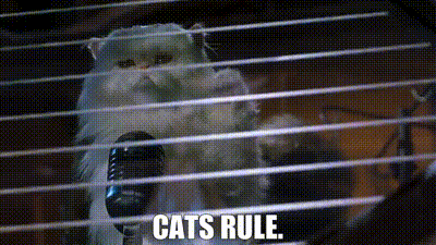 CatsRule.gif