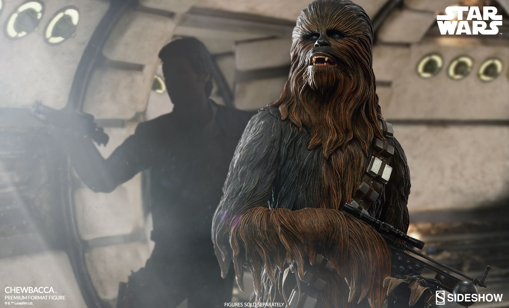 chewbacca-starwars-300527-14.jpg
