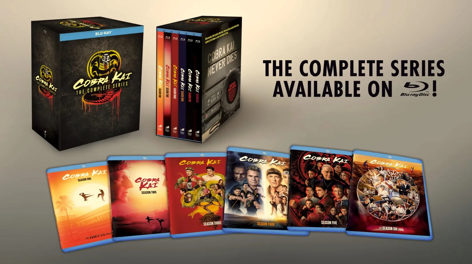 Cobra Kai: The Complete Series (Blu-ray Box Set) [USA] | Hi-Def
