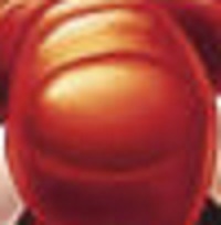 Contest1.jpg