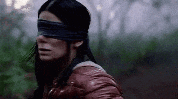 D0341A0F-6E2A-41EE-BFC4-28A6CF277328.gif