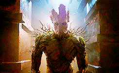 D5v1YJqiDxqTu.gif