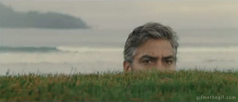 D6E4075E-662B-40A9-AF9A-829131355256.gif