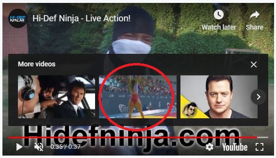 damn you!.JPG