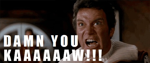 damnyou-kaaaaw.jpg