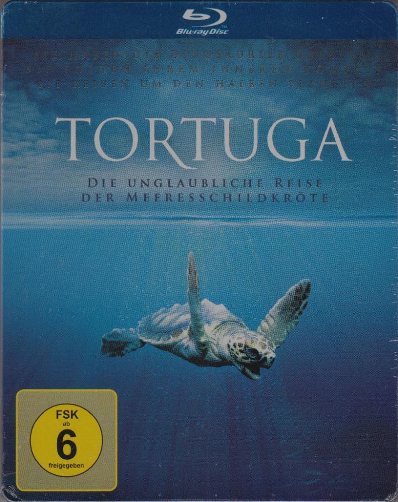 DE_Tortuga_Front.jpg