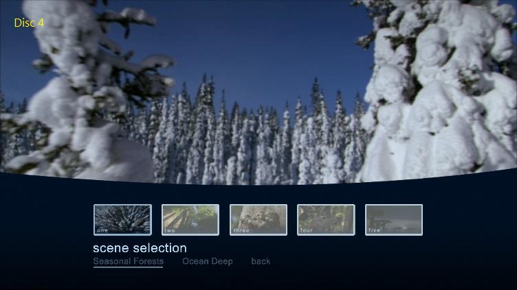 Disc4.jpg