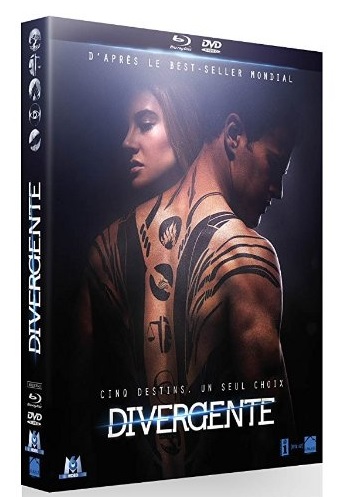 divergent_DP.jpg