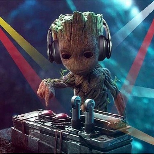 dj groot.jpg