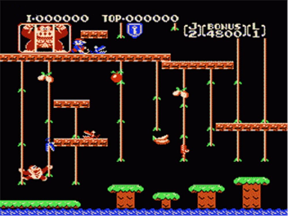 Donkey_Kong_Jr..jpg