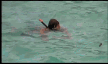 doodie-pool.gif